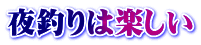 夜釣りは楽しい