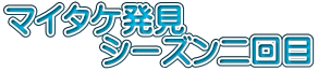 マイタケ発見 　　　シーズン二回目